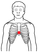 CPR finger position adult
