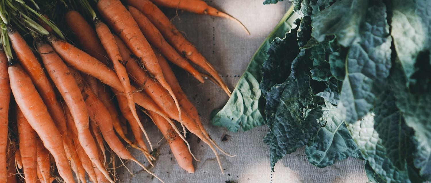 How to lower your BMI and lose weight healthily